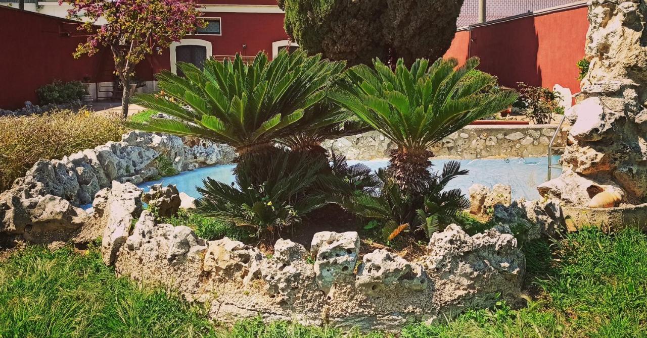 Simpson - Aeroporto Di Bari - Affittacamere Экстерьер фото
